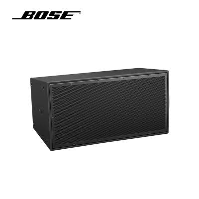 BOSE 户外阵列扬声器 ArenaMatch AM10