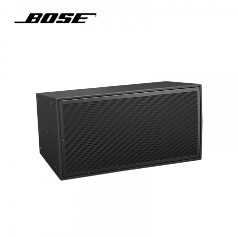 BOSE 户外阵列扬声器 ArenaMatch AM10