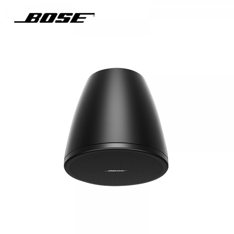 BOSE 扬声器 DM3P