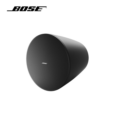 BOSE 吊顶扬声器 DM10P-SUB